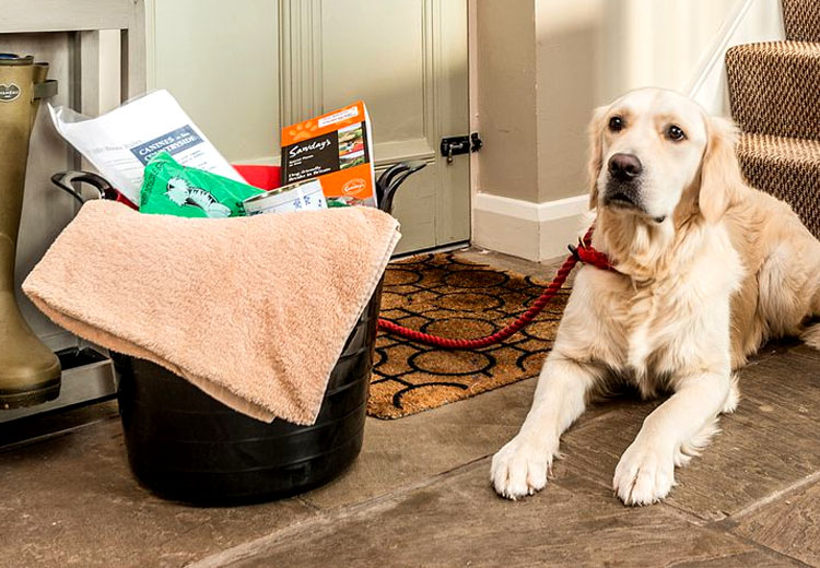 Dog Friendly Welcome Pack with Water Bowls, Towels and Pooh Bags