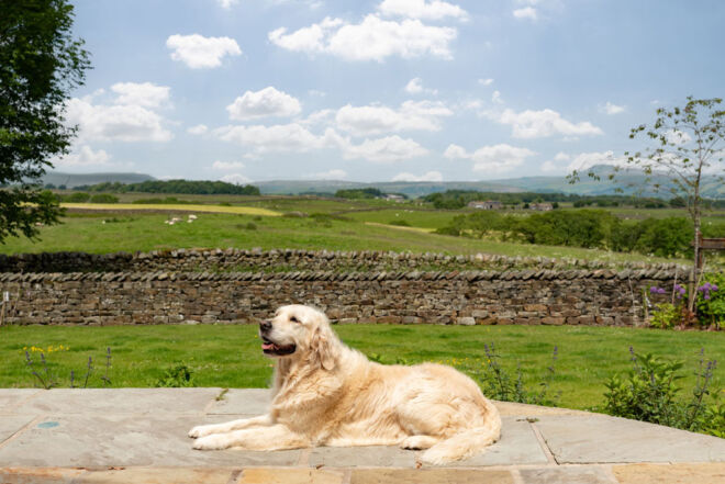 Gamekeepers Cottage - Dog Friendly Holiday